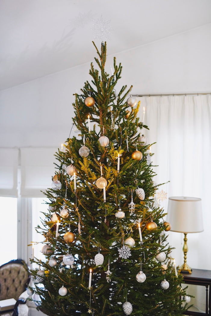 A large Scandinavian Christmas tree adorned with traditional Christmas Tree Candles, made by Havi, candlemakers since 1829.