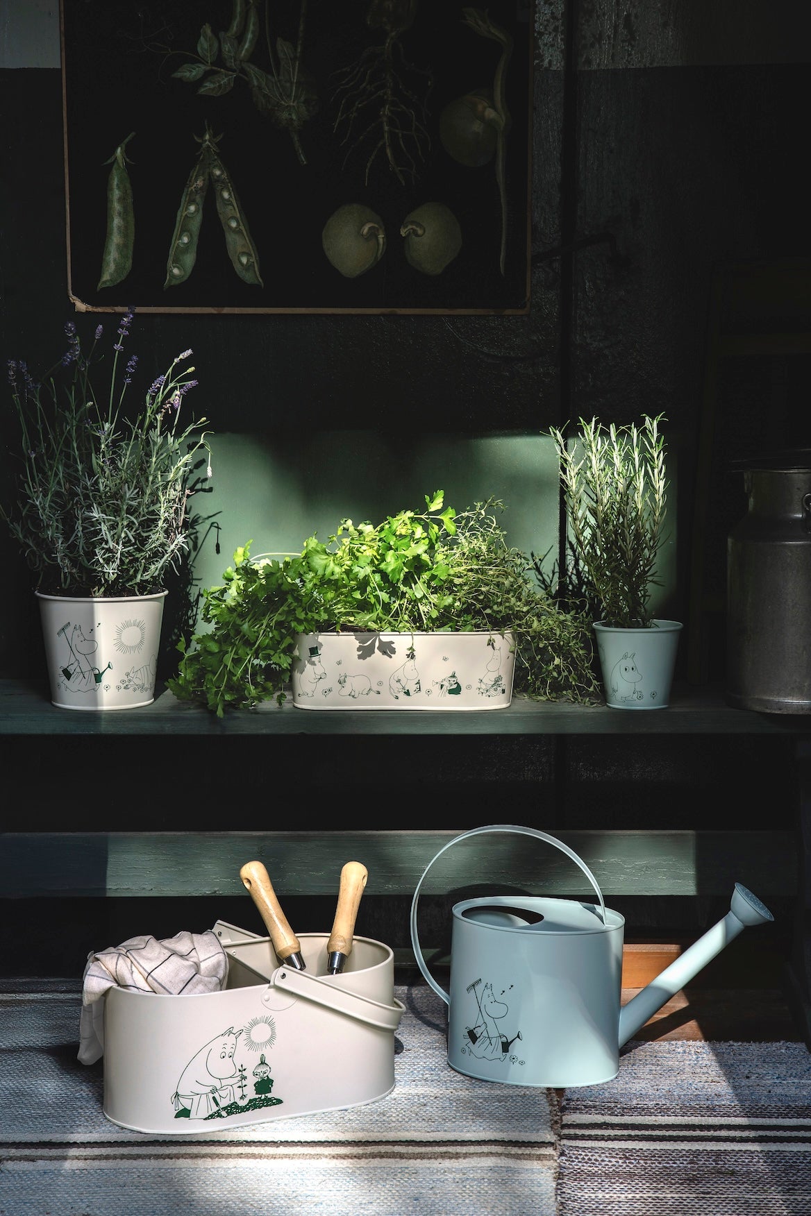 MOOMIN | Tin Flower Pot | Gardenia | 16 x 14cm