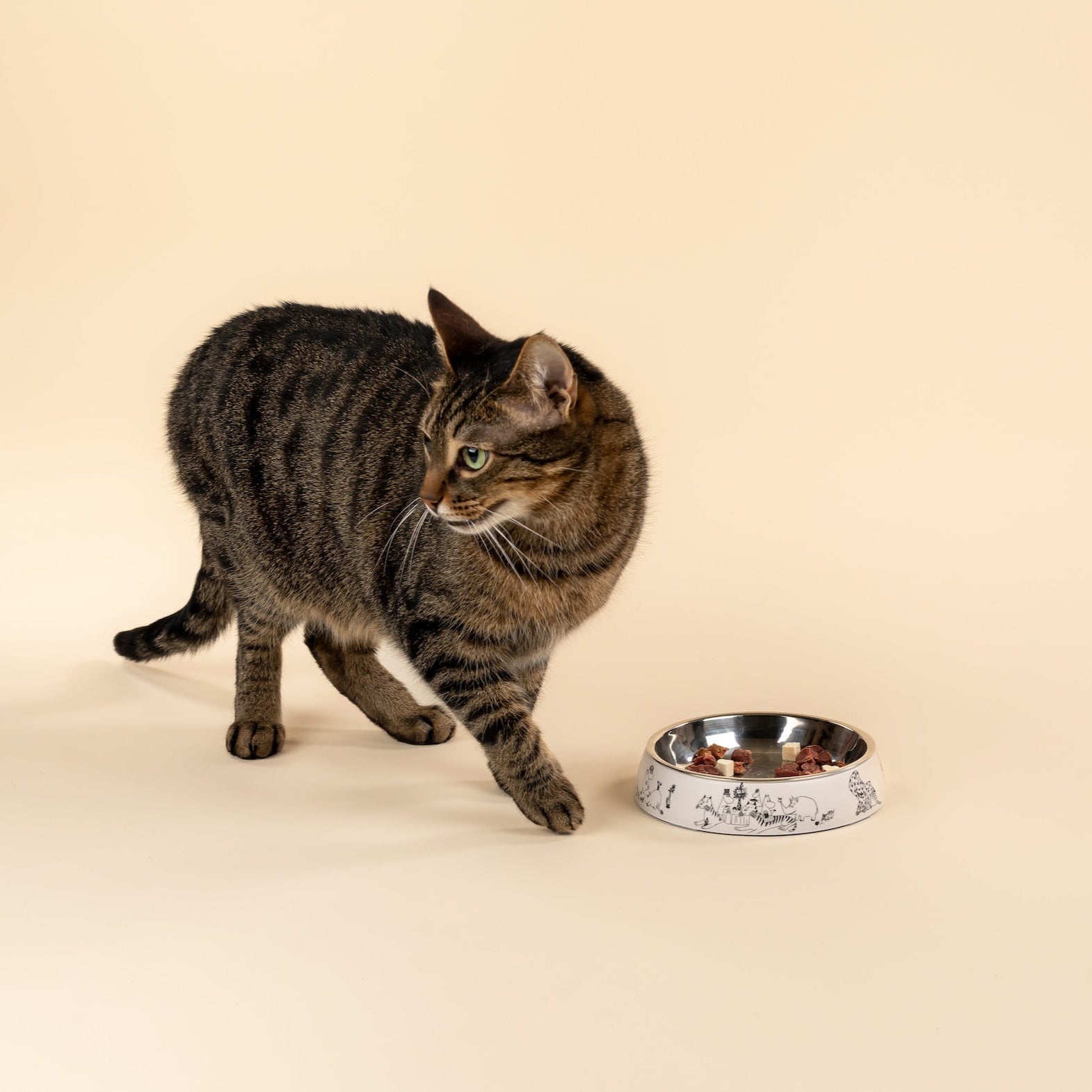 Moomin 80 Cat Bowl by Muurla Design.  Pictured next to a tabby cat standing guard over the Cat food bowl