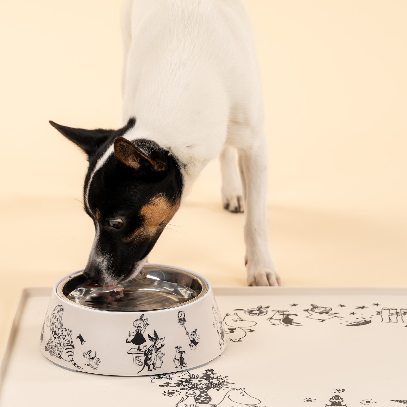 Muurla Moomin 80 Pet Bowl - M with a medium sized dog drinking water out of it 😃 