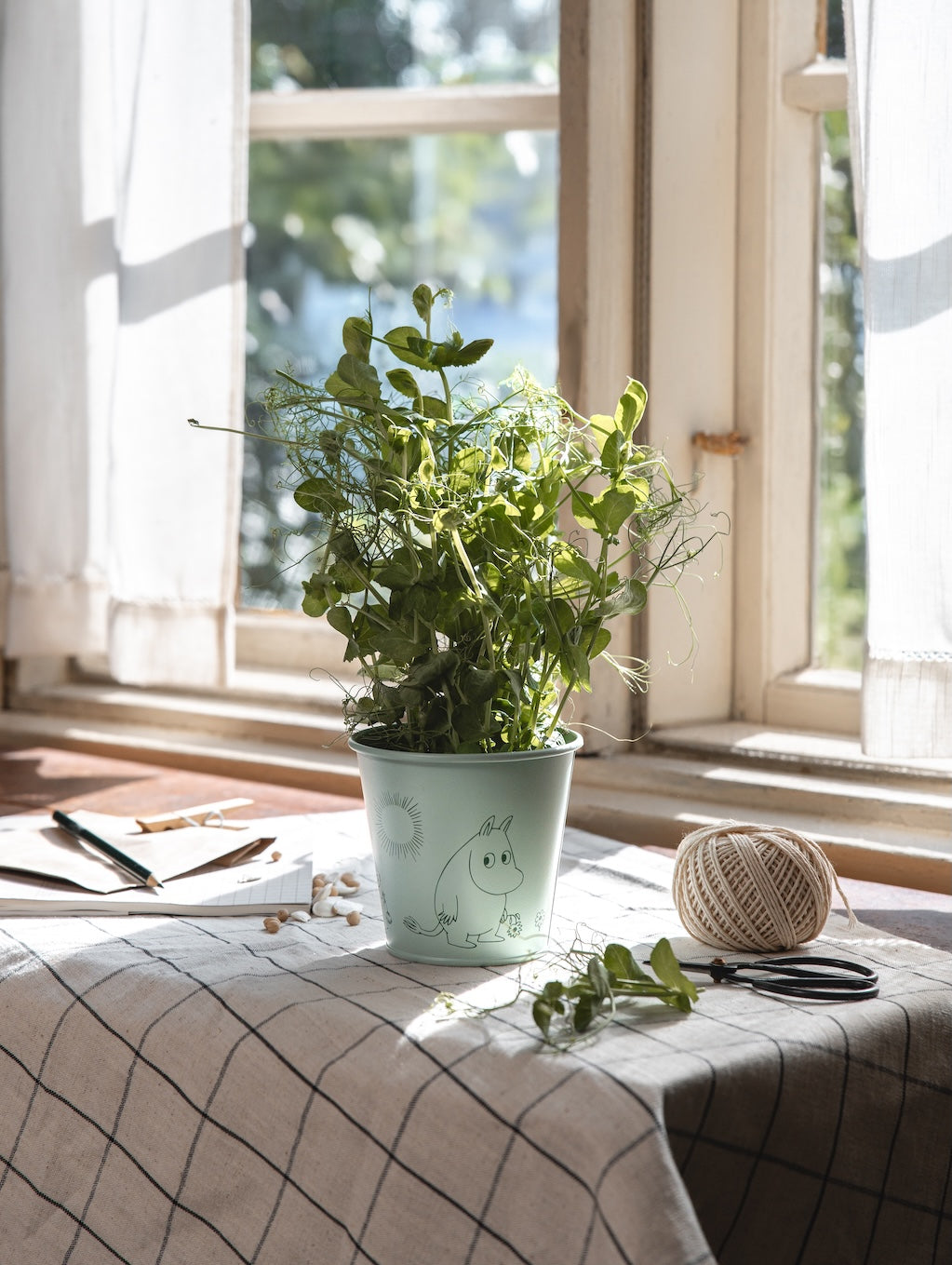 MOOMIN | Tin Flower Pot  | Gardenia | 11 x 10 cm