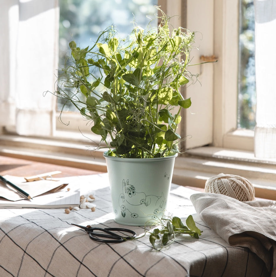 MOOMIN | Tin Flower Pot  | Gardenia | 11 x 10 cm