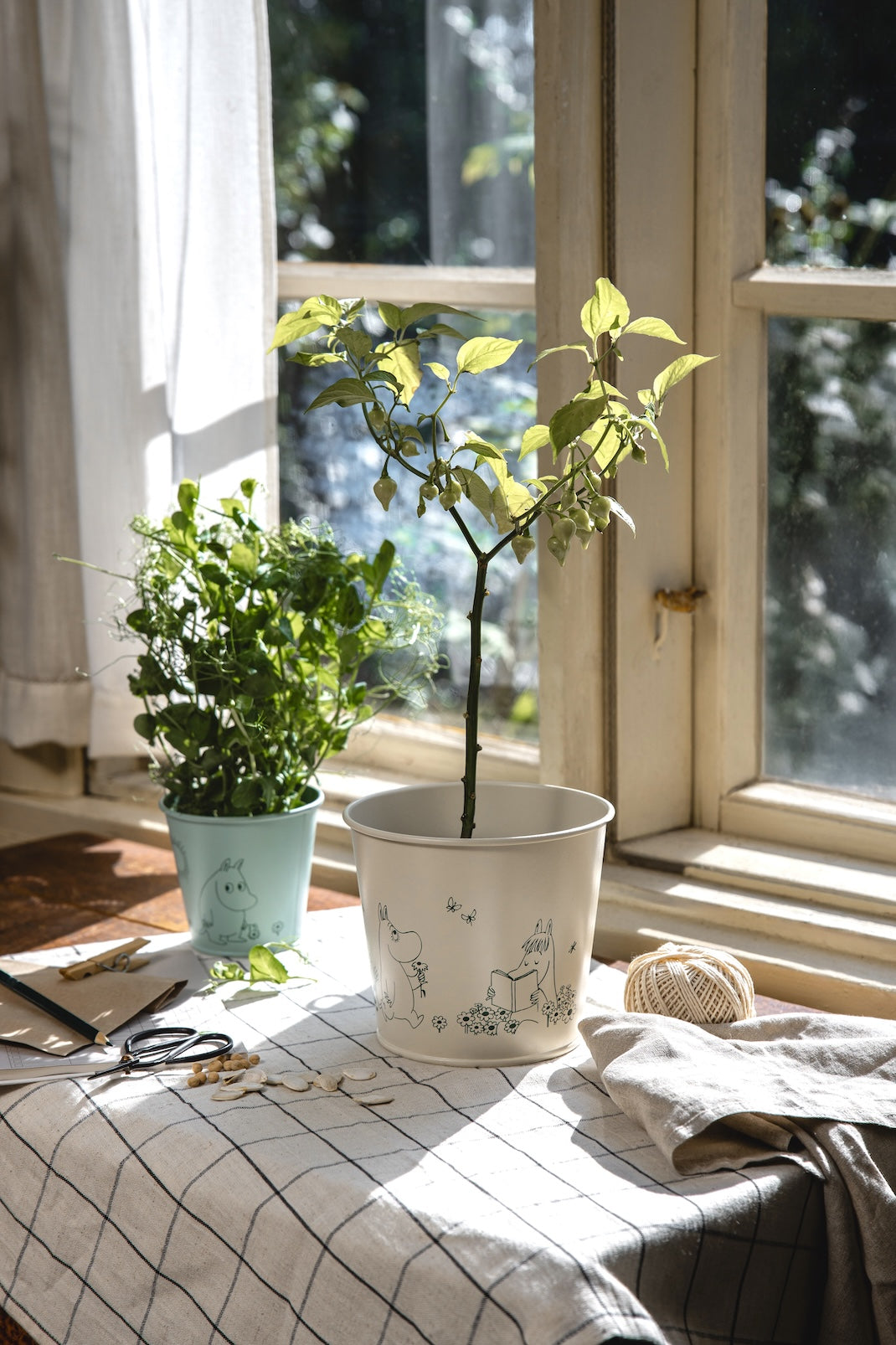 MOOMIN | Tin Flower Pot | Gardenia | 16 x 14cm