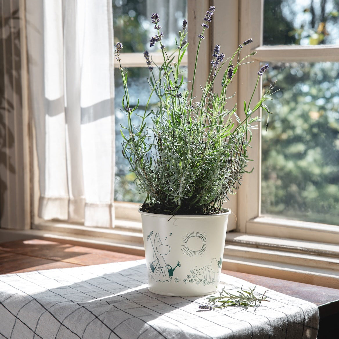 MOOMIN | Tin Flower Pot | Gardenia | 16 x 14cm
