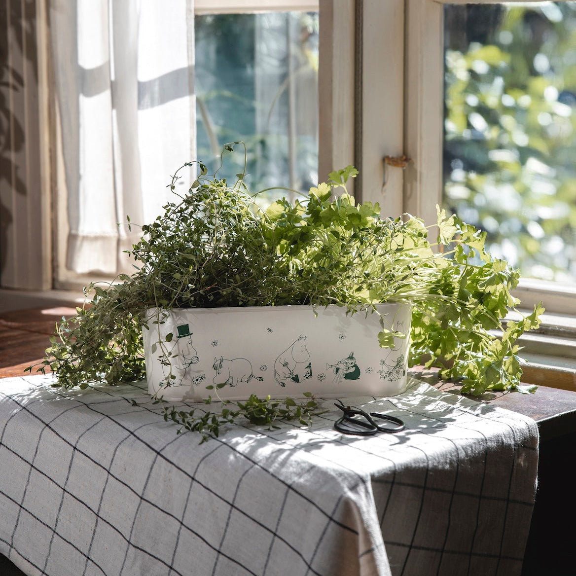 MOOMIN | Tin Flower Pot, Oval | Gardenia | 28 x 11 x 9.5cm