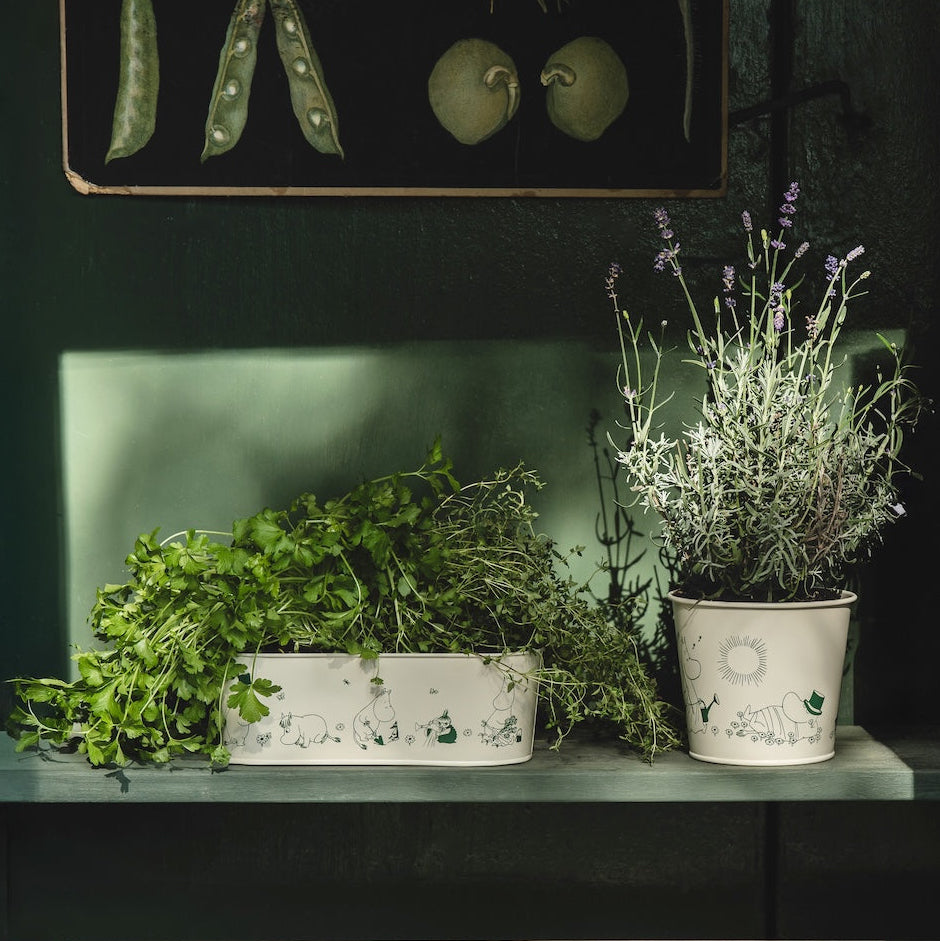 MOOMIN | Tin Flower Pot, Oval | Gardenia | 28 x 11 x 9.5cm