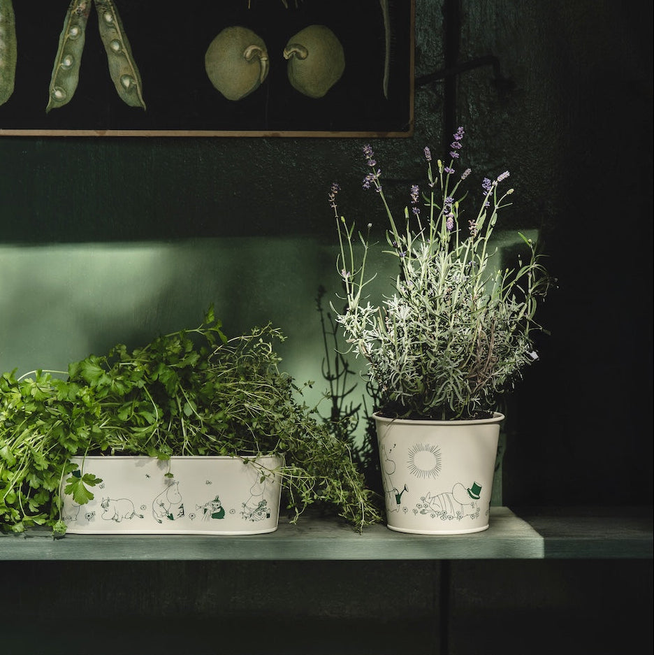 MOOMIN | Tin Flower Pot | Gardenia | 16 x 14cm