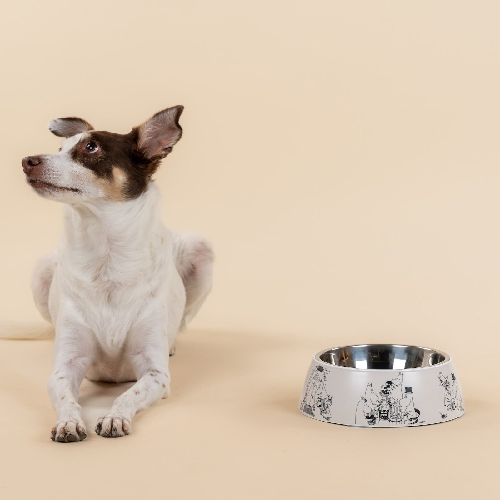 Moomin 80 Large Food Bowl.  22cm Dia by 6.8cm High.  Made by Muurla Design