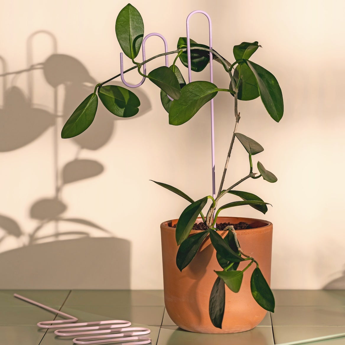 MUURLA | Plant Supports in Pastel Tones | Set of 3