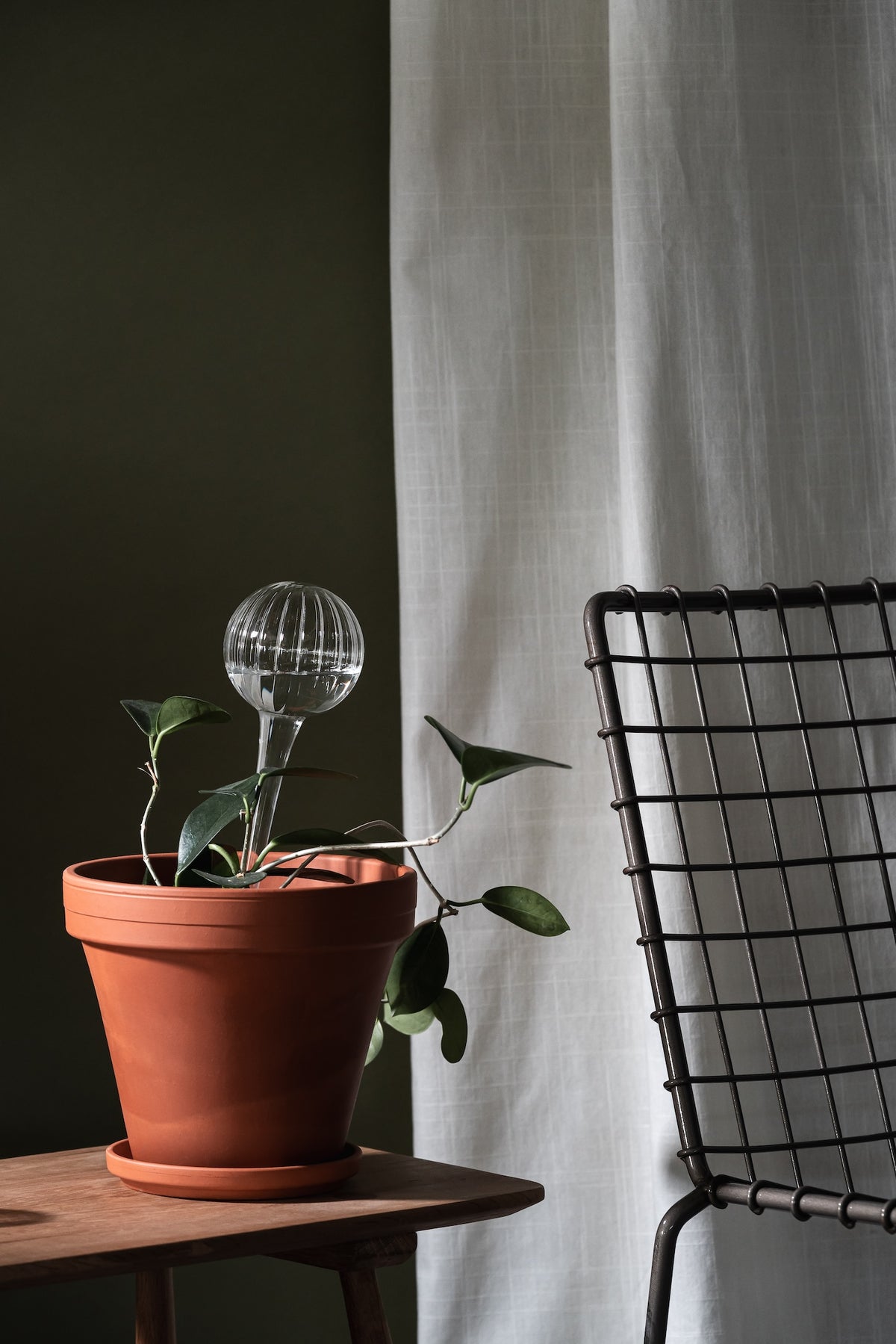 Muurla Watering Bulb shown nestled into an indoor plant, in a brown pot and saucer, placed on a side table and next to a chair