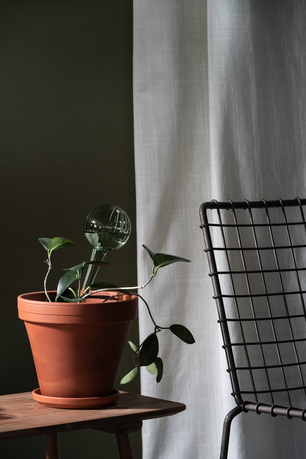 Muurla Watering Bulb, Green, 28cm, shown nestled into an indoor plant in a brown pot.