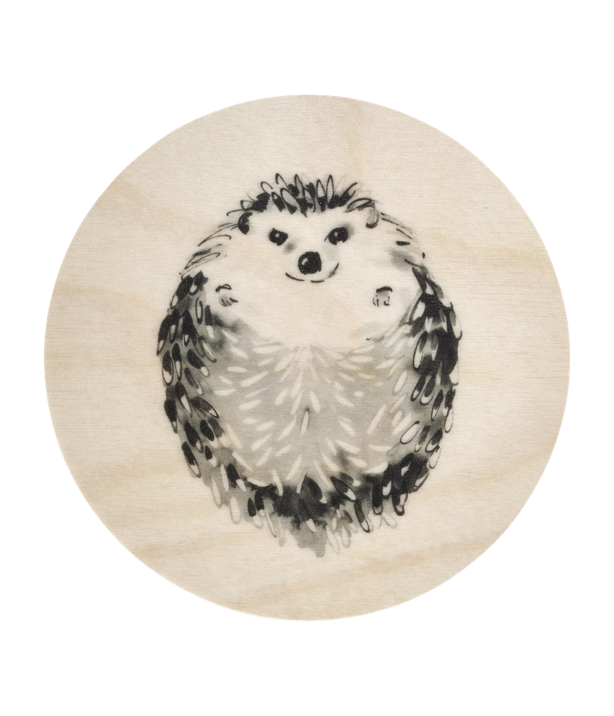 Hedgehog Coaster By Teem Jarvi Illustrations for Muurla Design