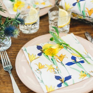 A table setting with Havi Iris paper napkins folded and laid out on dinner plates, with cutlery and glassware