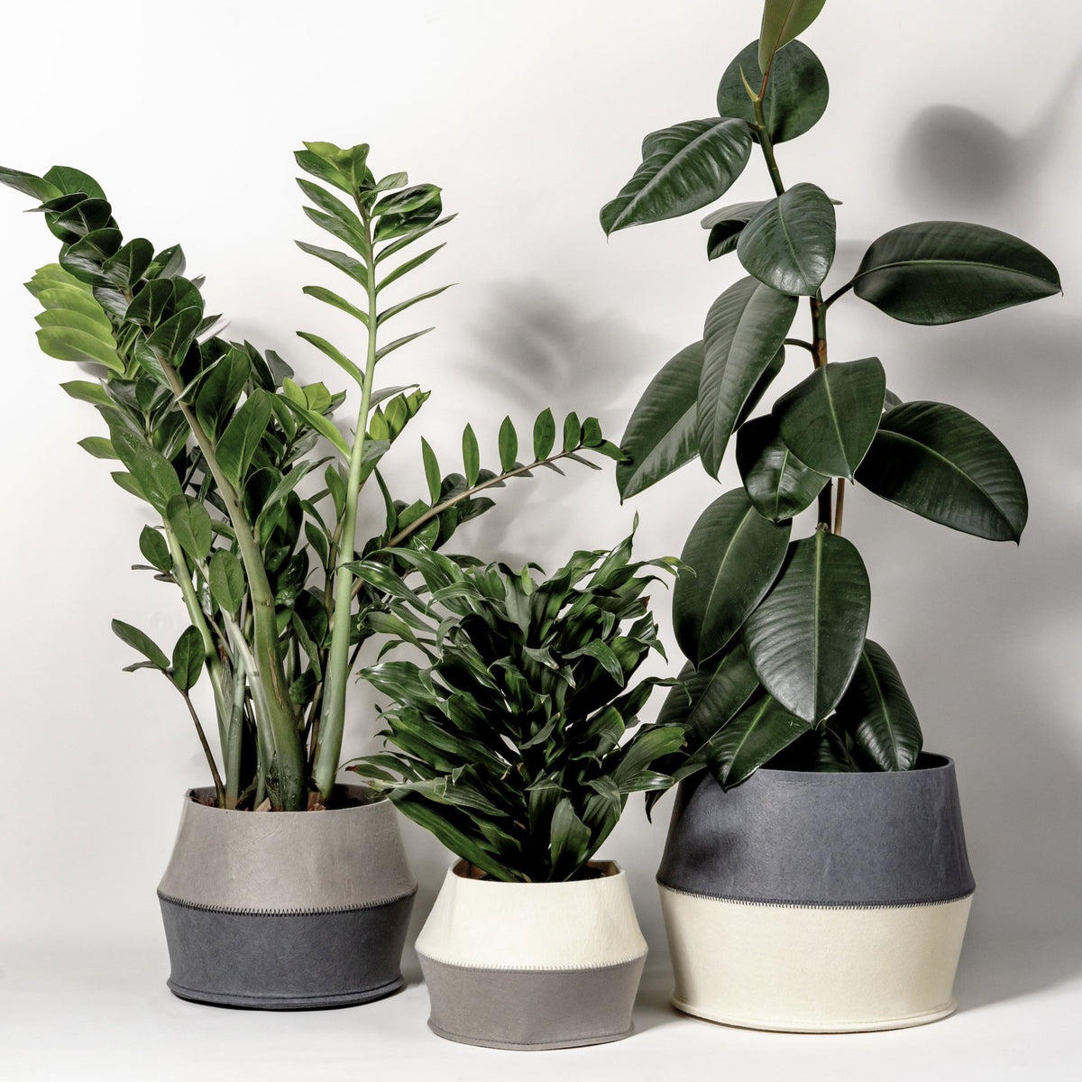 MUURLA | Plant Pot Covers / Shelf Storage Baskets | Set of 3