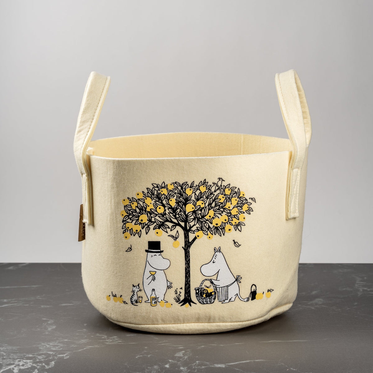 rPET Muurla Design Storage Basket in an Apple design