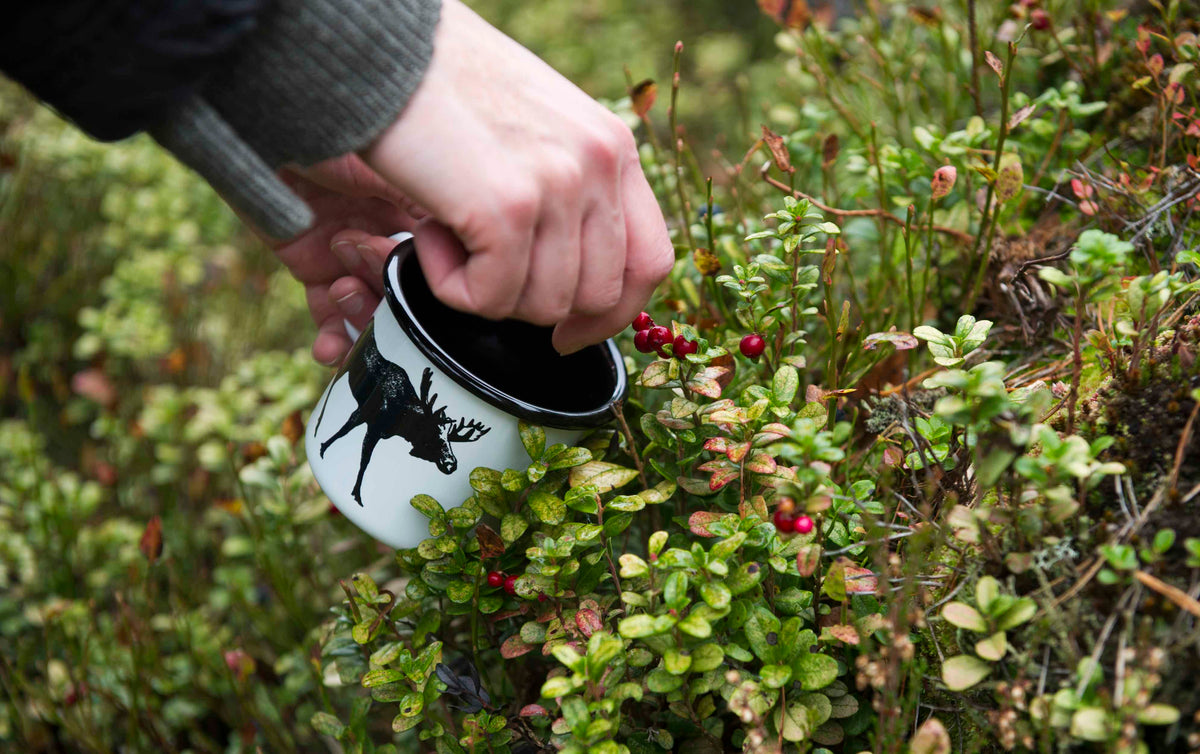 Collecting Autumn berries with a Muurla Design Nordic Mug