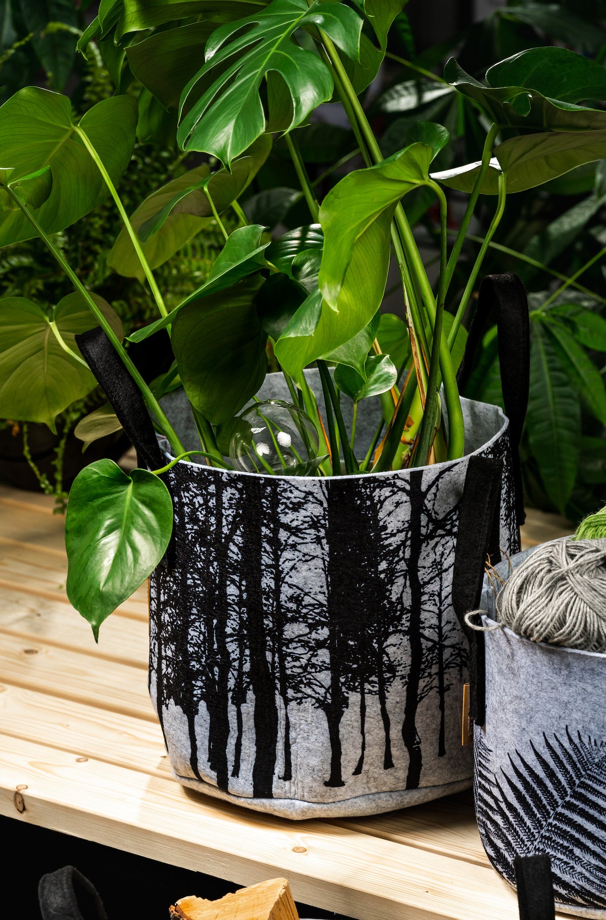 Muurla Design The Forest Recycled Storage Basket holding a plant