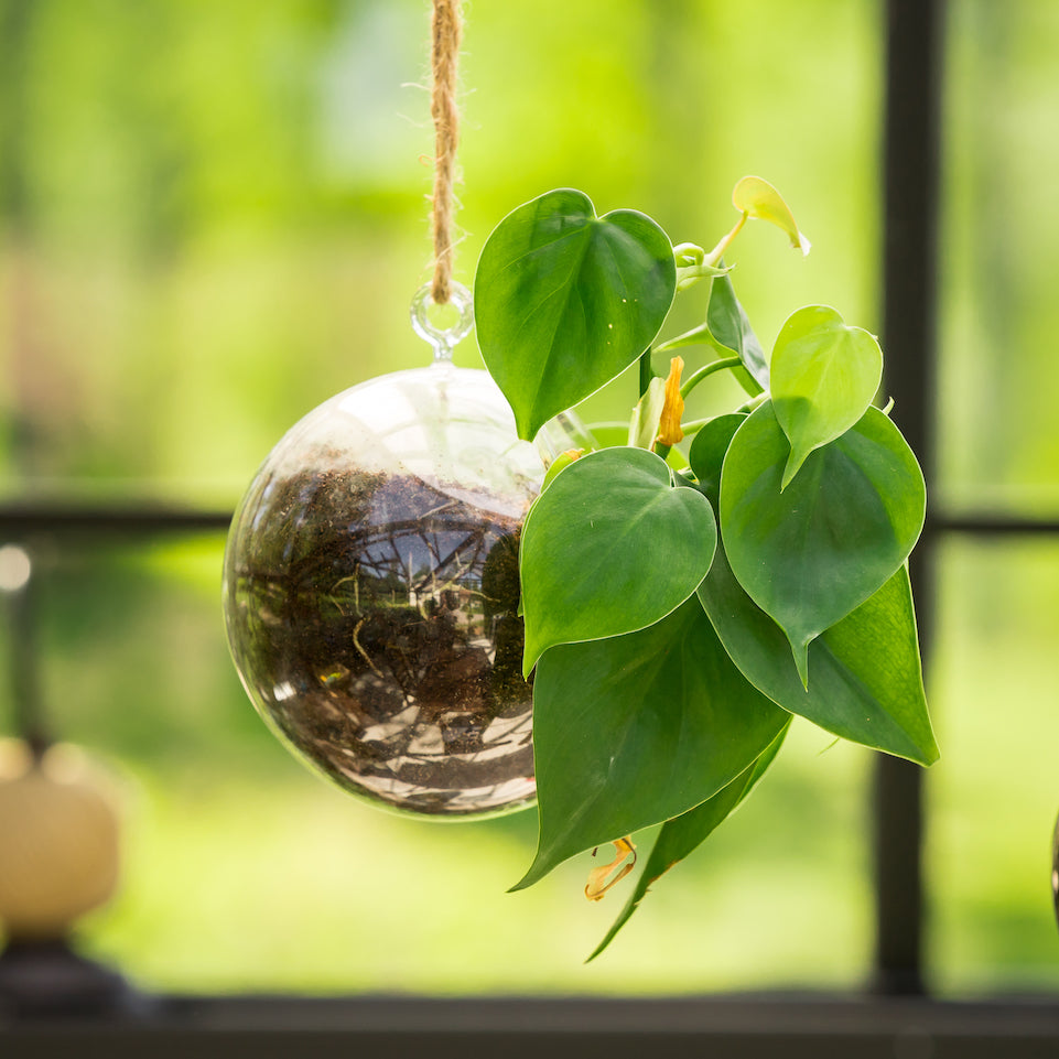 Muurla Decoration Ball. For tea-lights, decorations of small plants