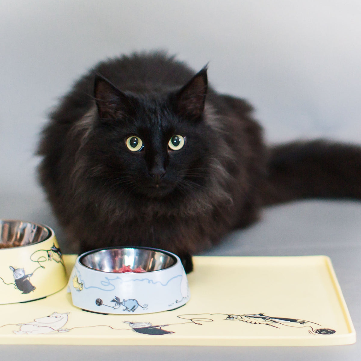 A Black Cat enjoying her food out of a Moomin For Pets Bowls, By Muurla 4700-140-01