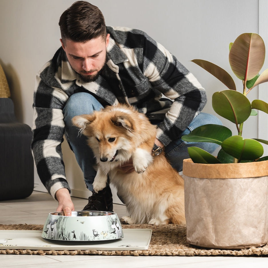 Muurla Design's Moomin for Pets food bowl in green