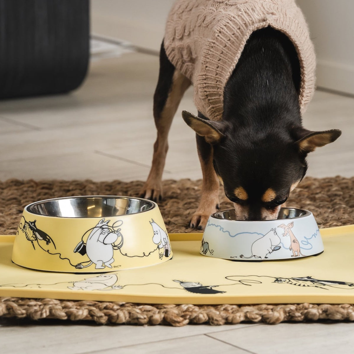 a small dog in a jumper eating out of a Moomin for Pets, by Muurla, pet bowl 