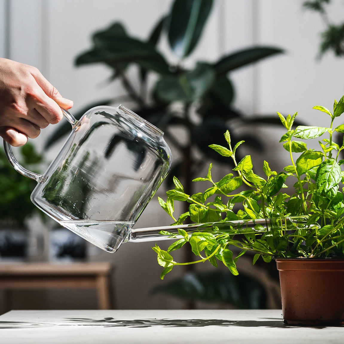 MUURLA | Glass Watering Can | 1.3L | Clear