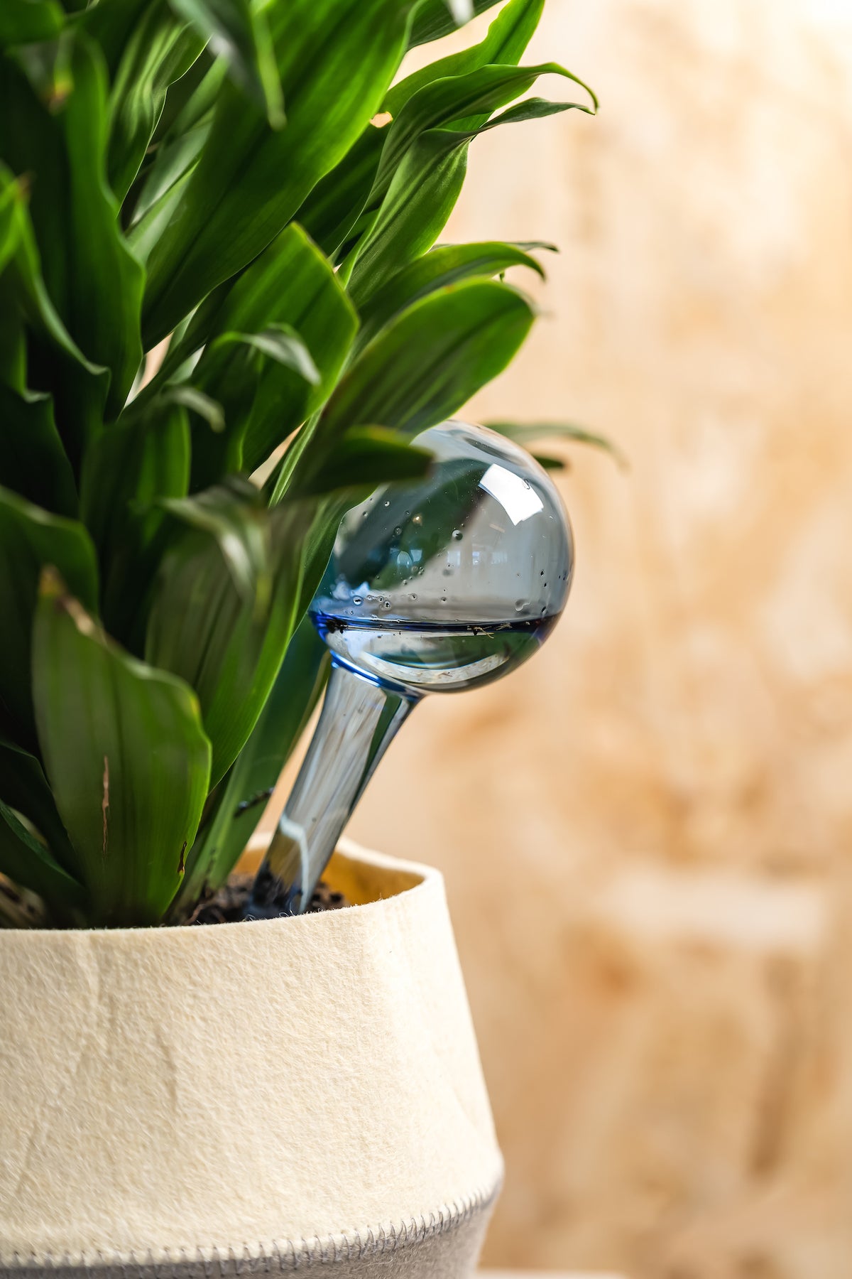 Muurla Watering Bulb in Blue